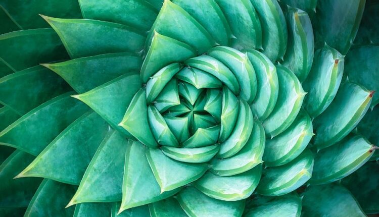 Clariant’s science of sustainable beauty.